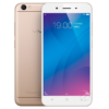 vivo2