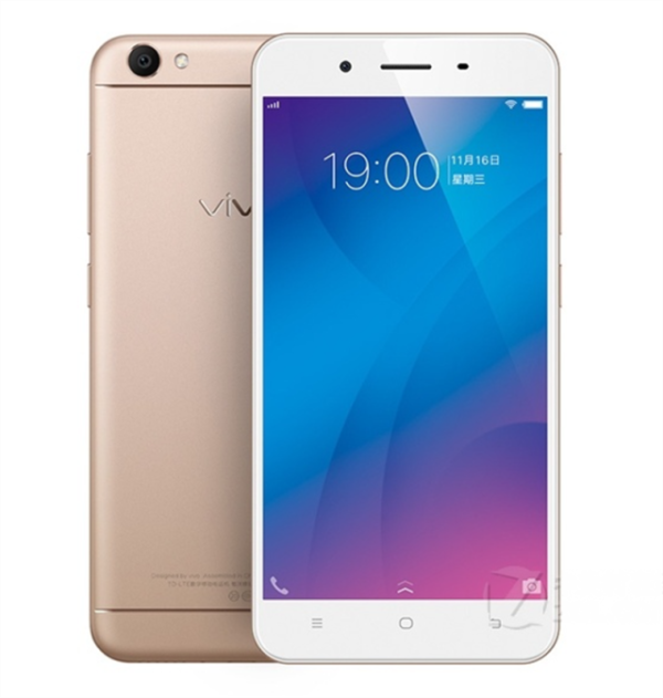 vivo2